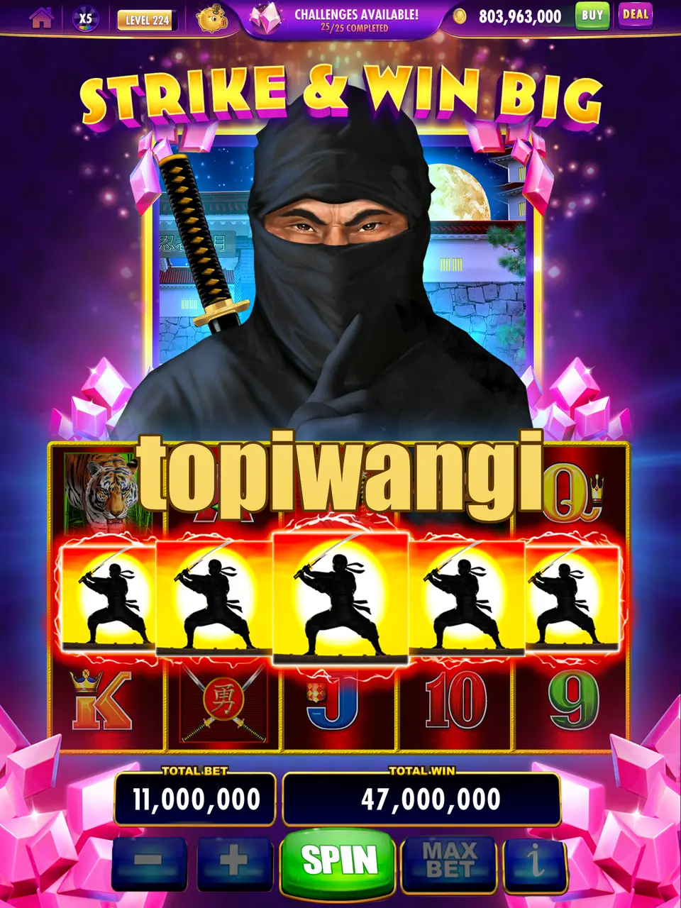 topiwangi Preview - Resmi Unduh